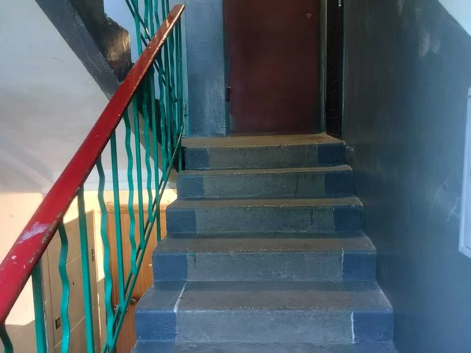 Apartment. Kam'yans'ke, Myru st.