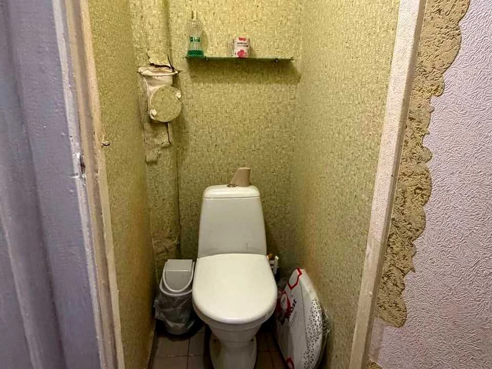 Apartment. Ole Pychka st., Kamianka