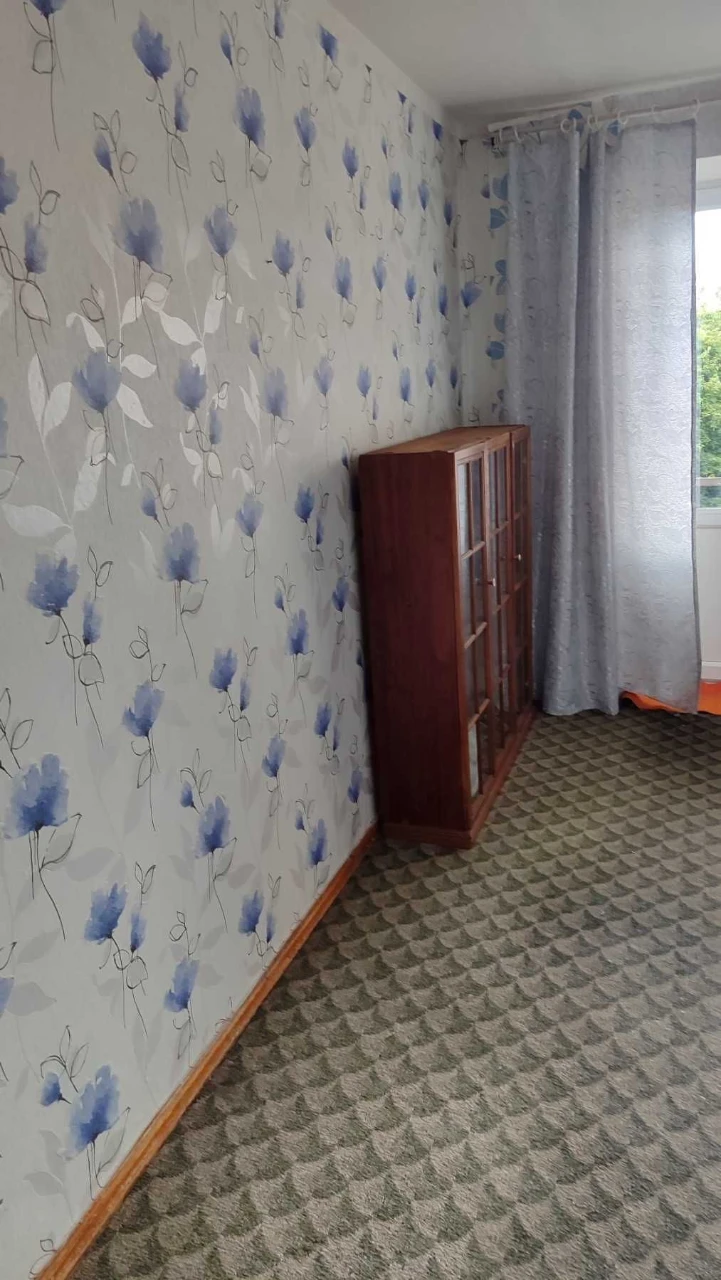 Two-bedroom large apartment 4/10 Czech brick car