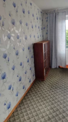 Two-bedroom large apartment 4/10 Czech brick car