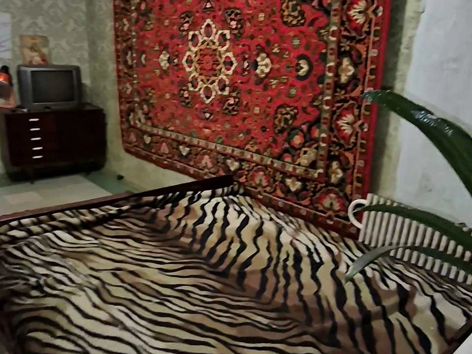 Квартира. Каменское, Евгена Мельников, улица (Алтайская)