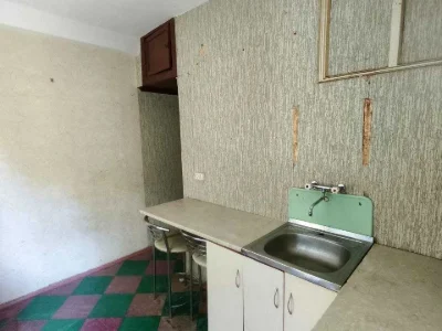 Apartment. Kamian's'ke, Kam'yan's'ke (Dniprozerzhynsk), Chestnut