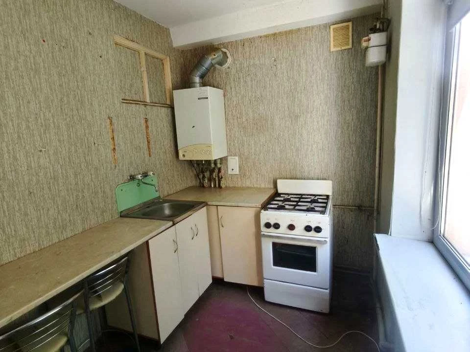 Apartment. Kamian's'ke, Kam'yan's'ke (Dniprozerzhynsk), Chestnut