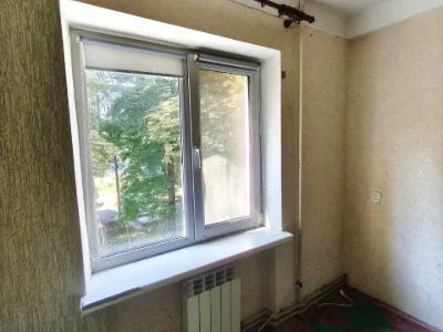 Apartment. Kamian's'ke, Kam'yan's'ke (Dniprozerzhynsk), Chestnut