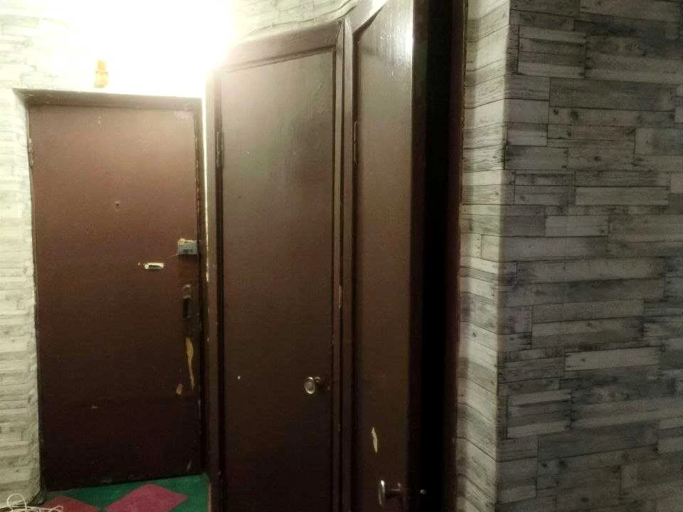 Apartment. Kamian's'ke, Kam'yan's'ke (Dniprozerzhynsk), Chestnut