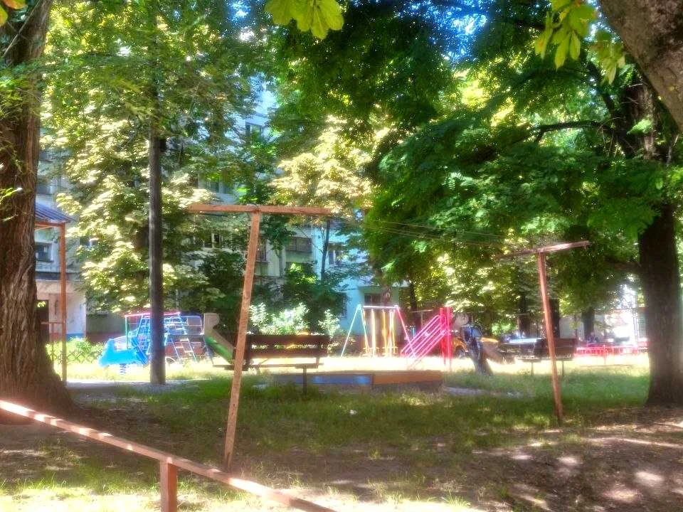 Apartment. Kamian's'ke, Kam'yan's'ke (Dniprozerzhynsk), Chestnut