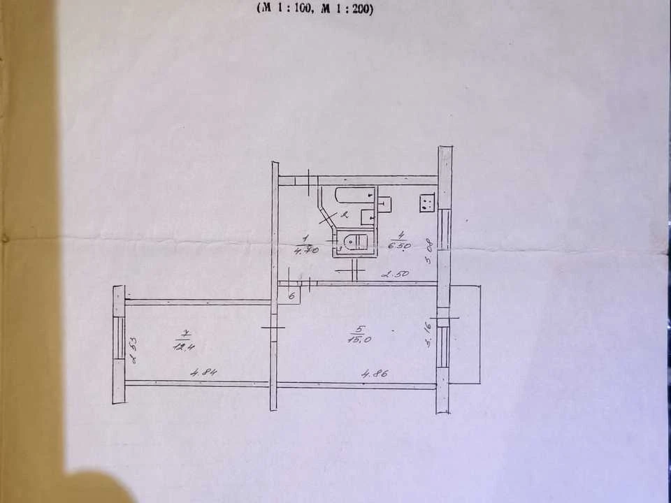 Apartment. Kamian's'ke, Kam'yan's'ke (Dniprozerzhynsk), Chestnut