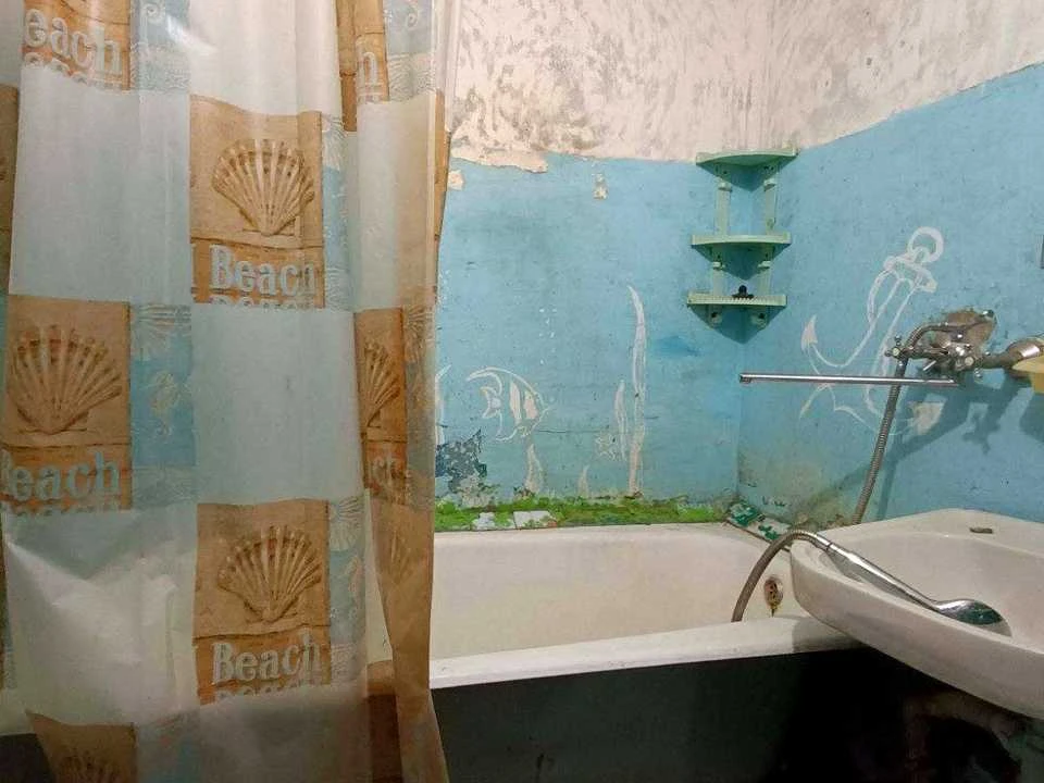 Apartment. Kam'yans'ke, Kam'yans'ke (Dniprozerzhynsk), Kharkivs
