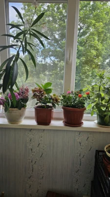 For sale 4-room apartment in Sosgorod, mar