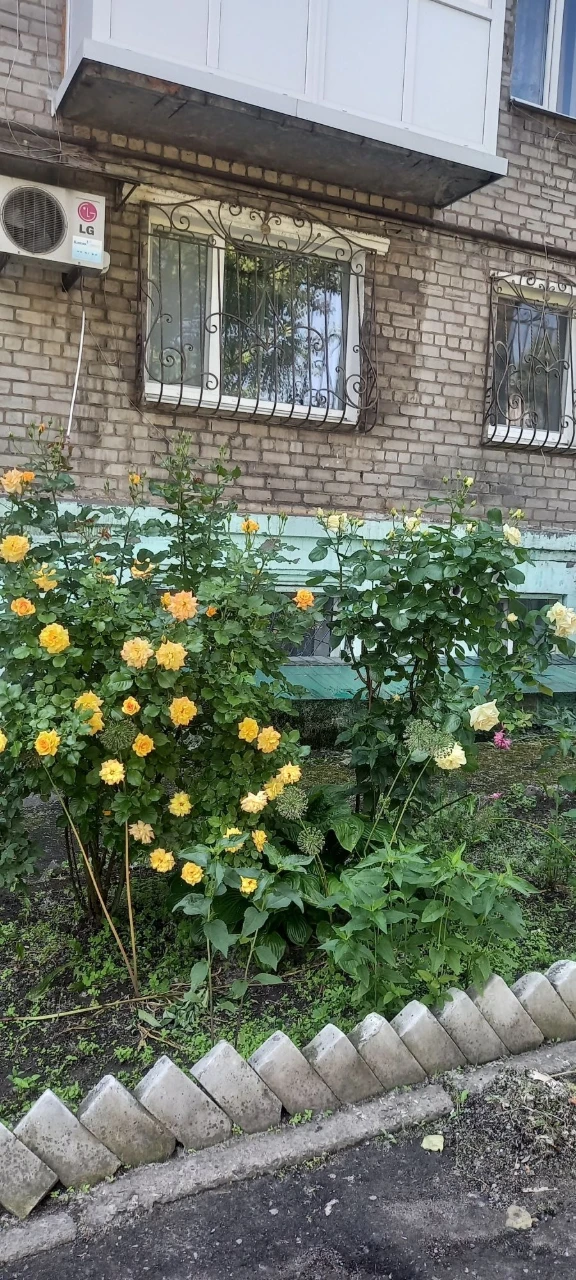 Продаж 3-кімнатної квартири 60м² в будинку на 5 поверсі.