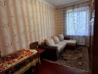 Квартира. Камянское, Камянское (Днепродзержинск), Відродж
