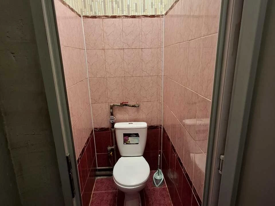 Квартира. Камянское, Камянское (Днепродзержинск), Відродж