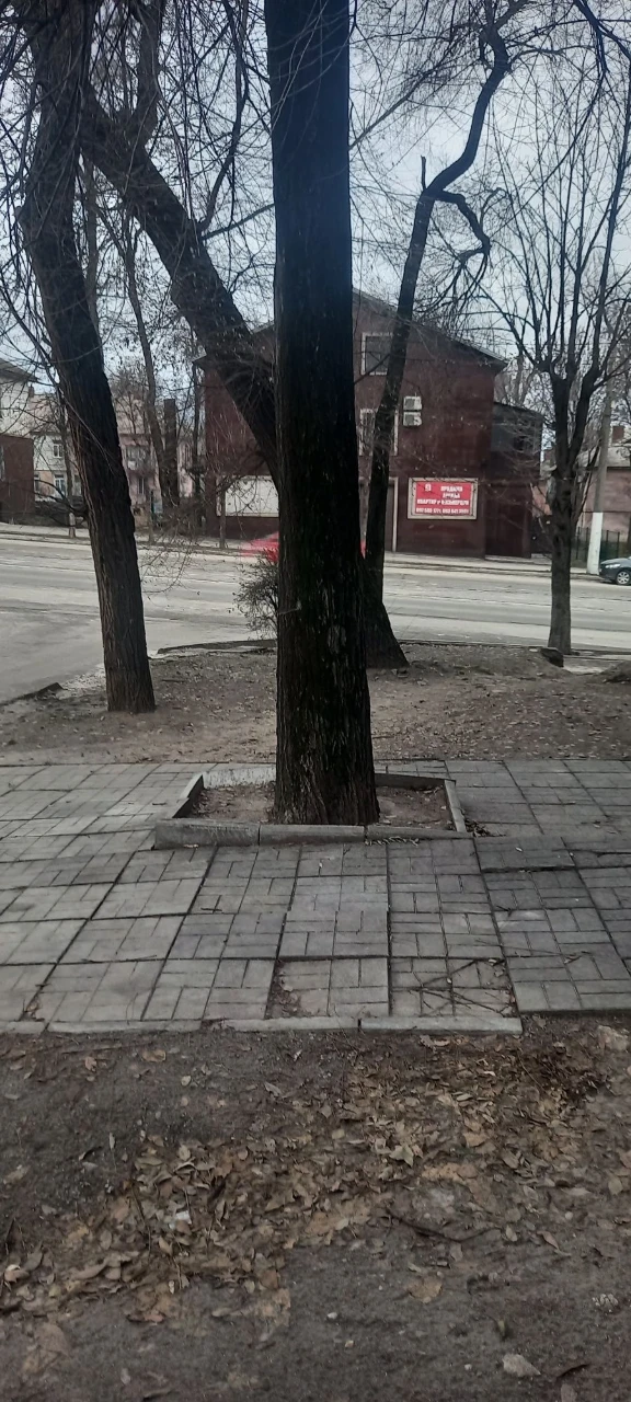 For Sale: 3-bedroom apartment in the center of T. Shevchenko, near an office or store, 66 sq.m.