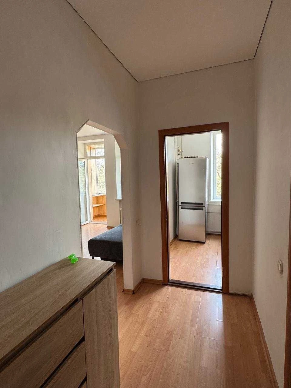 1-bedroom apartment on Kropyvnykho Street