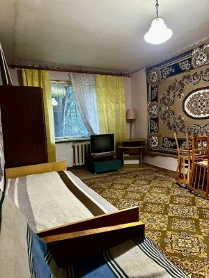 1-но малосем 4 Заречный, 22, 1/9 18 м2, не угл