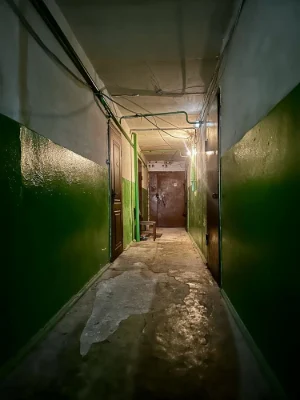 1-но малосем 4 Заречный, 22, 1/9 18 м2, не угл