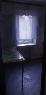 Однокомнатная на 1/9 ул. Спаская возле Птицы