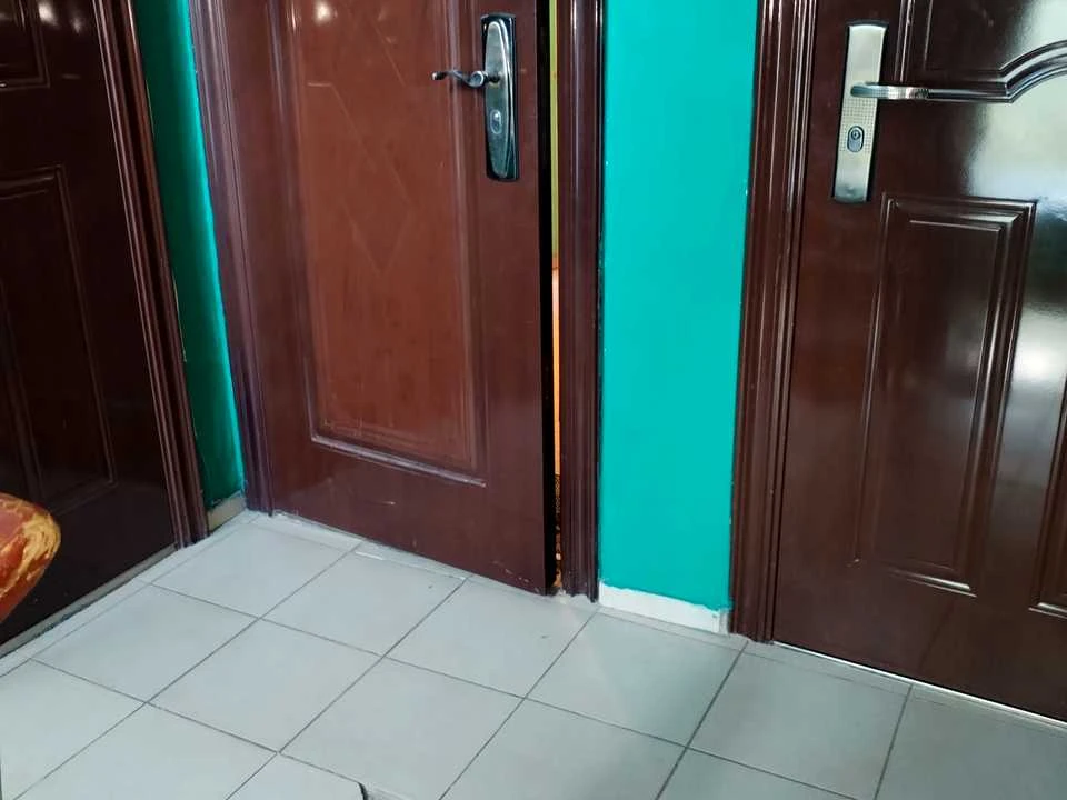 Apartment. Edward Fox Street, Krivoi Rog
