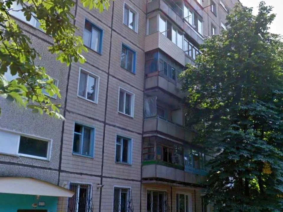 Apartment. General Radievsky Street, Kryvyi Rih