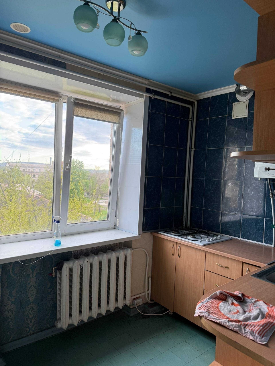 Sale of a 1-bedroom apartment on Pushkin Street