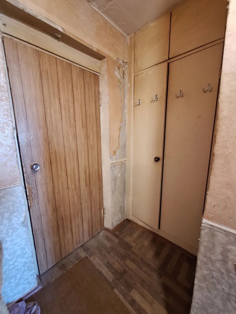 Affordable apartment on Druzhbi Street
