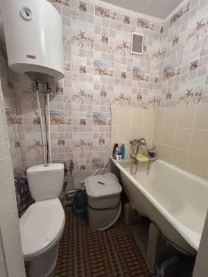 1-bedroom apartment in Damansky