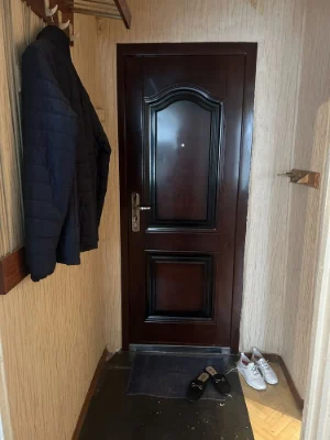 1-bedroom apartment in Damansky