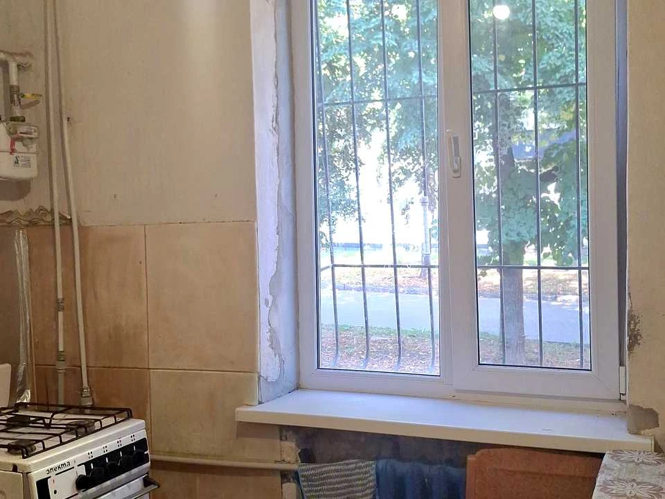 Квартира. Кривой Рог, Каштановая улица