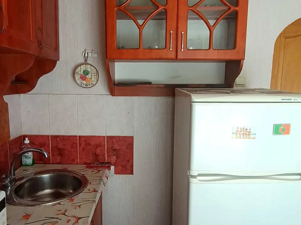 Apartment. Krivoi Rog, Korniya Rechmidila st. (Rokitina)