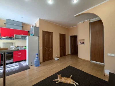 Apartment. Kryvyi Rih, Sveta-Mykolaivska Street (Lenina)