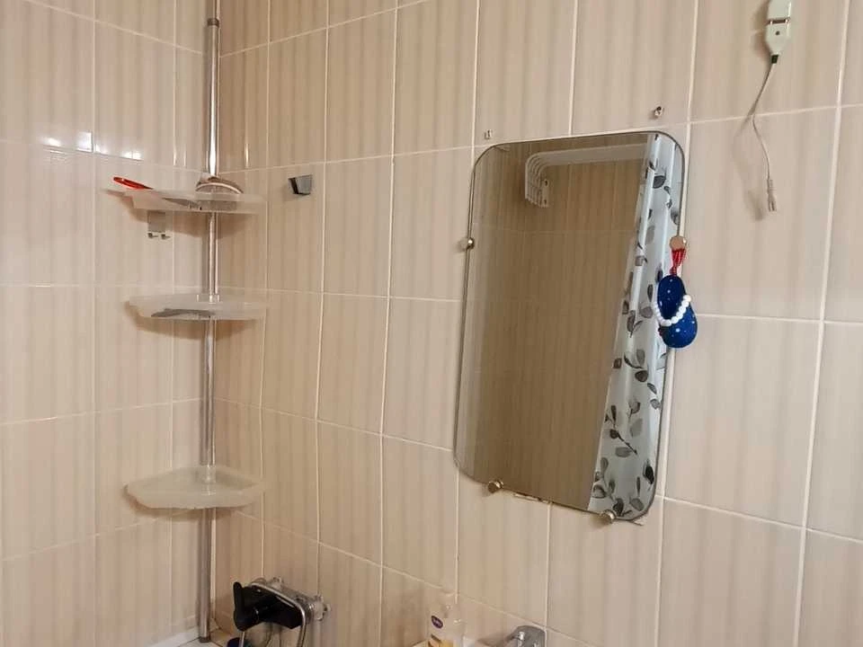 Apartment. Kryvyi Rih, Blahovischenska