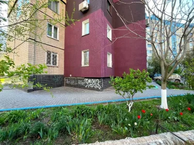 Apartment. Kryvyi Rih, Street of Independence