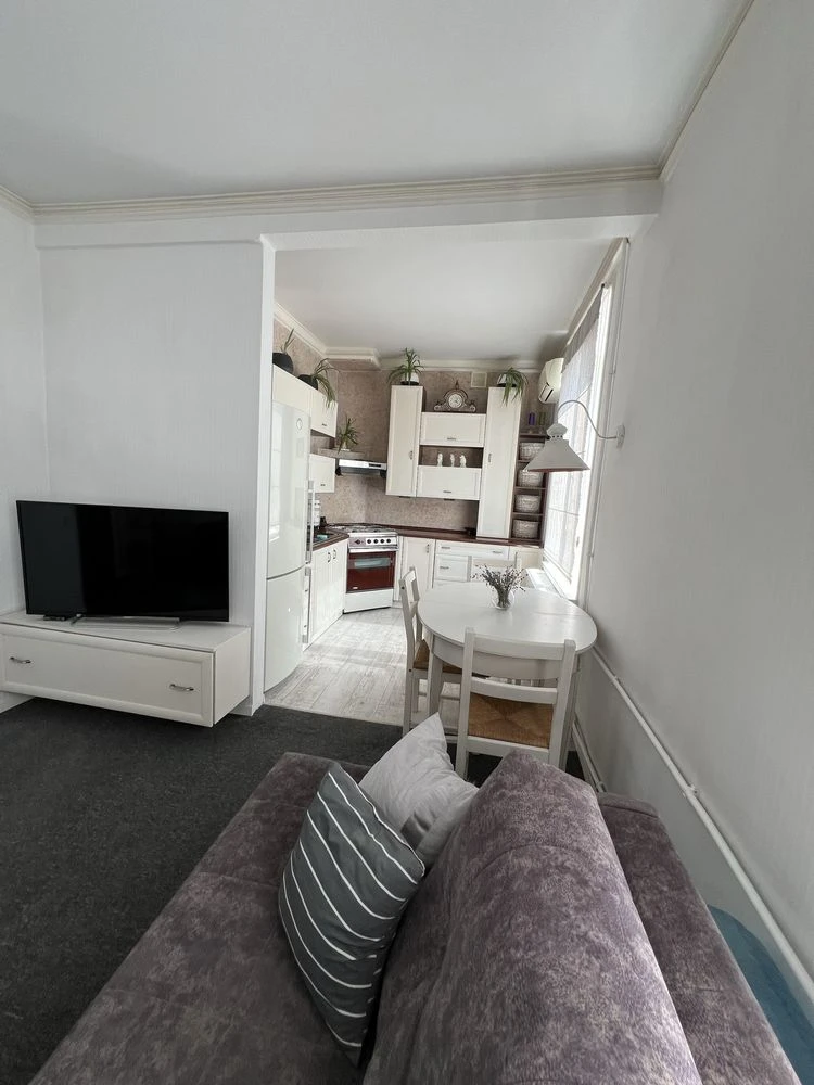 Sale of a 2-bedroom apartment on Savycyskogo Street (YUGOK, Park, DC)