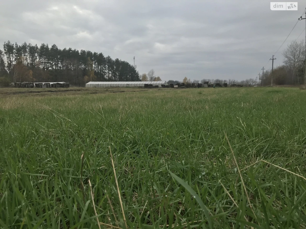 Продаж Ділянка під житлову забудову Крошня