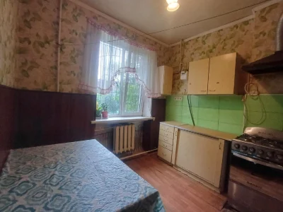 Spacious 2-room apartment + "country house" near the house + outbuilding