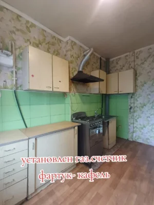 Spacious 2-room apartment + "country house" near the house + outbuilding