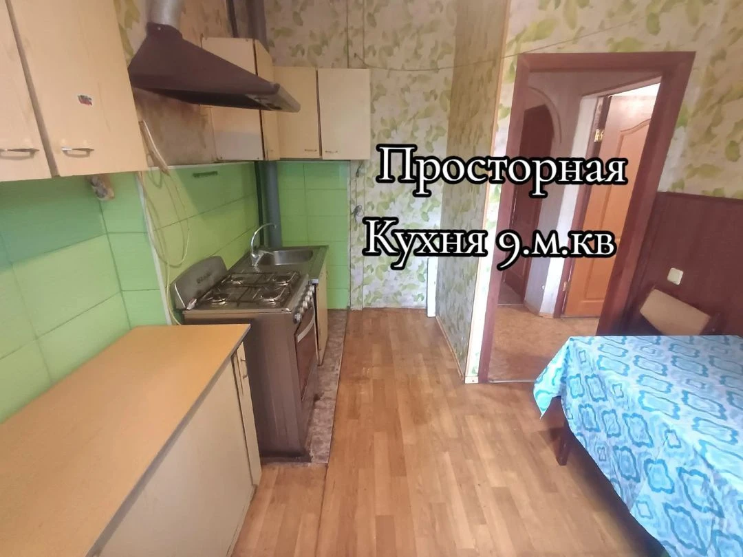 Spacious 2-room apartment + "country house" near the house + outbuilding