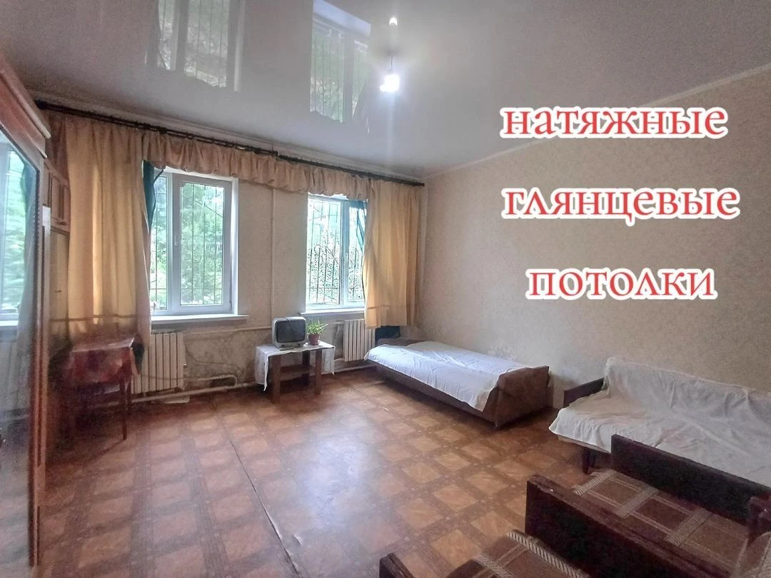 Spacious 2-room apartment + "country house" near the house + outbuilding