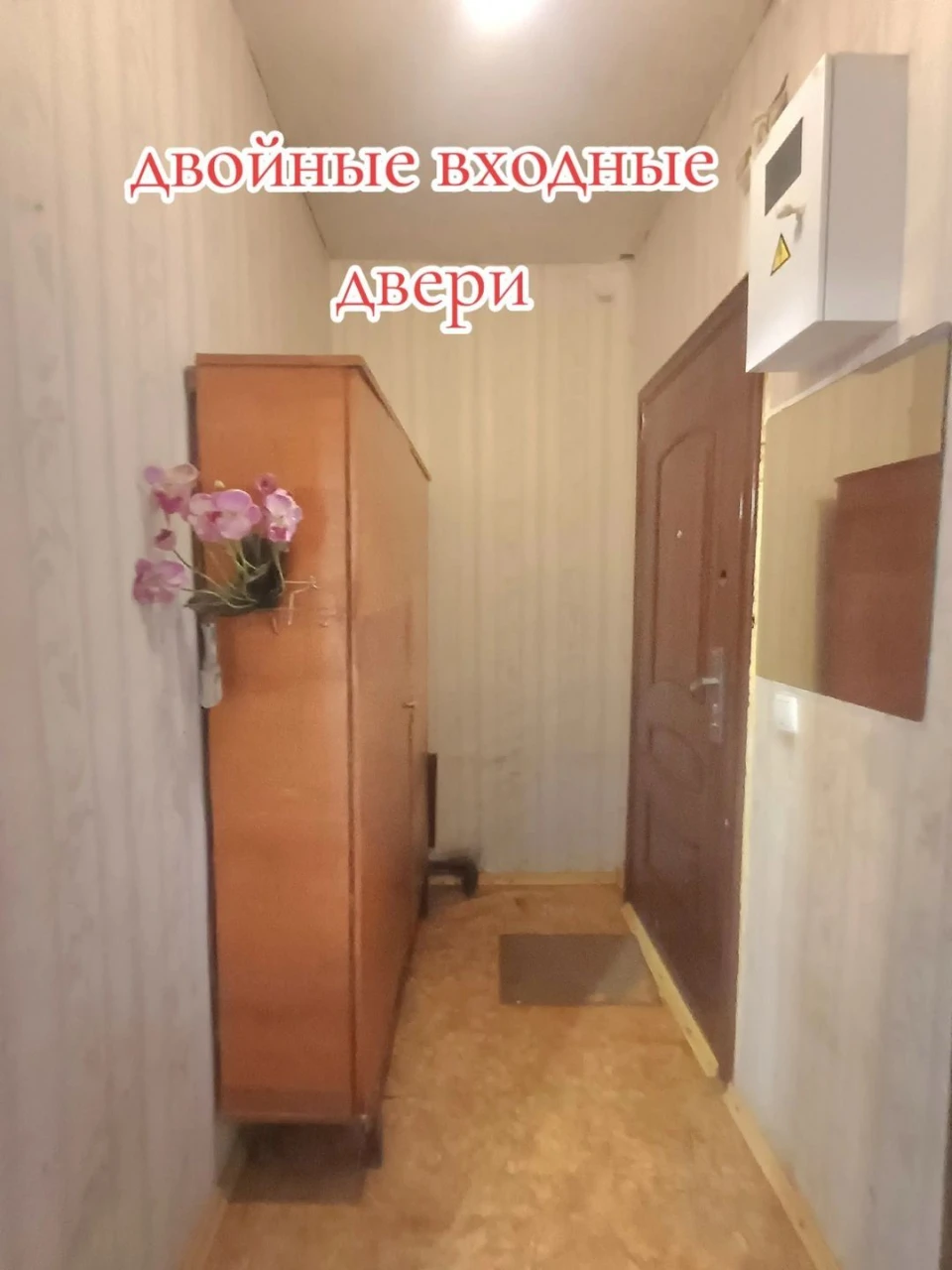 Spacious 2-room apartment + "country house" near the house + outbuilding