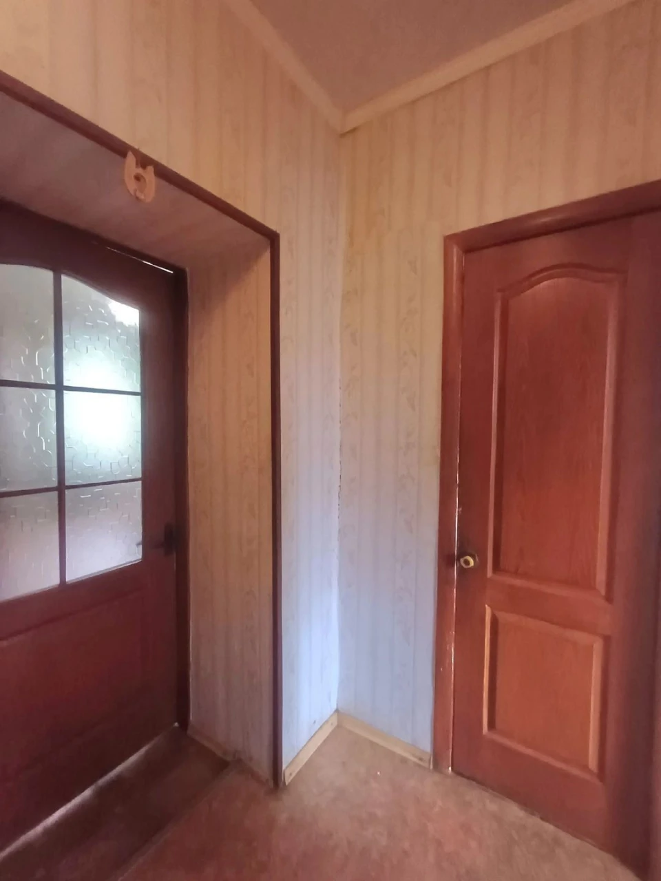 Spacious 2-room apartment + "country house" near the house + outbuilding
