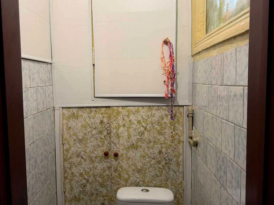 Apartment. Kryvyi Rih, Metalyrgiv Prospect