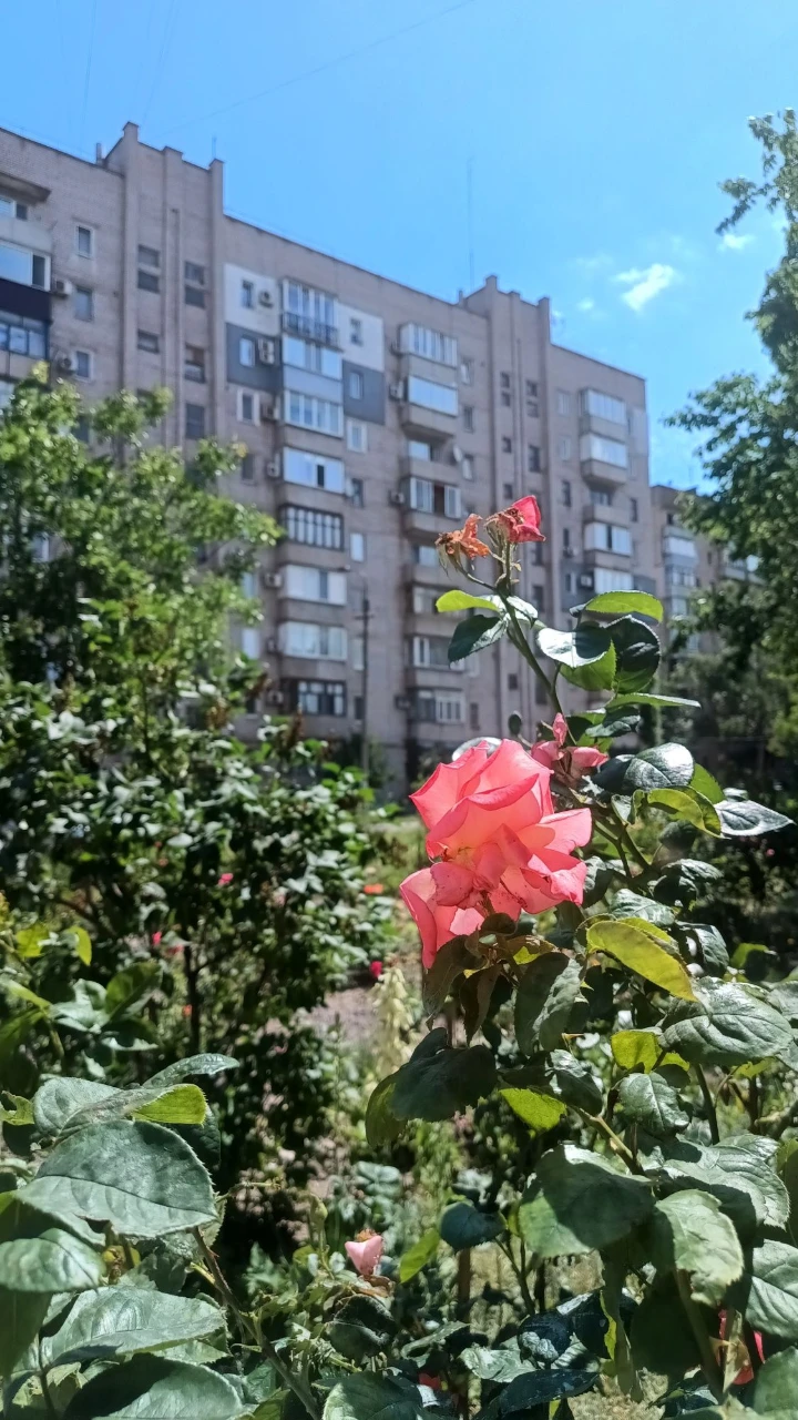 3-комнатная квартира в районе Космонавтов