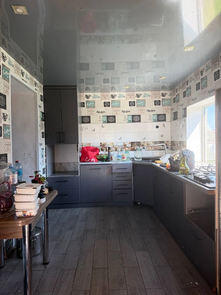 Sale of a 4-room house, Vodospadna (Tuvan), 18, Kryvyi Rih