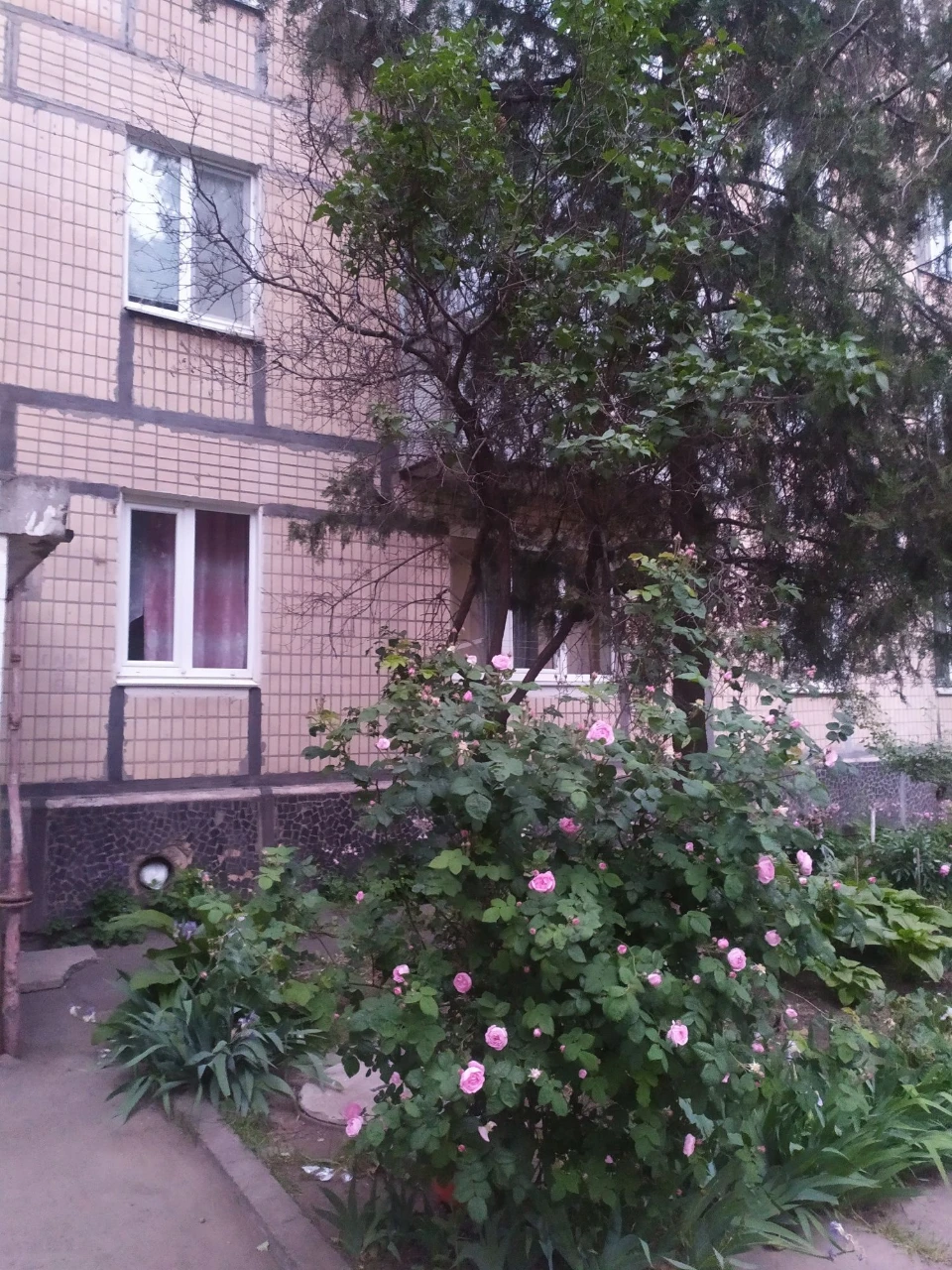 Продается 1-комнатная квартира на Вечернем.