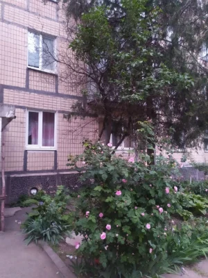 Продается 1-комнатная квартира на Вечернем.