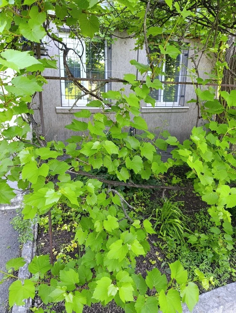 Квартира двухкомнатная на Мопре,с двумя гаражами.
