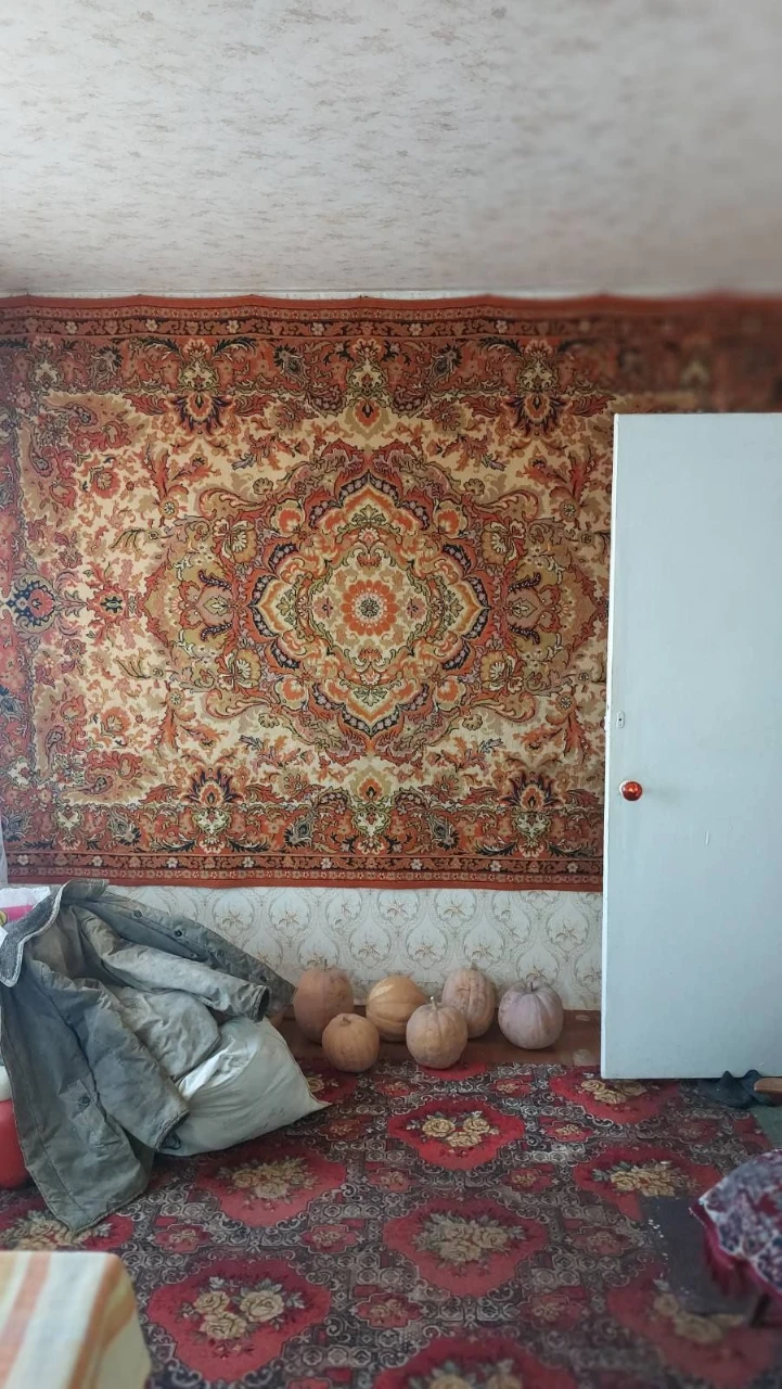 Three-bedroom apartment on Karbyshev Street 9
