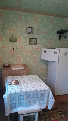 Квартира 1-комн. с мебелью и техникой, Марганец