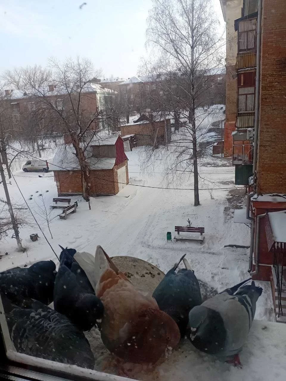 Продаю 3х комнатную высокогабаритную квартиру