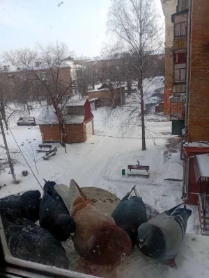Продаю 3х комнатную высокогабаритную квартиру